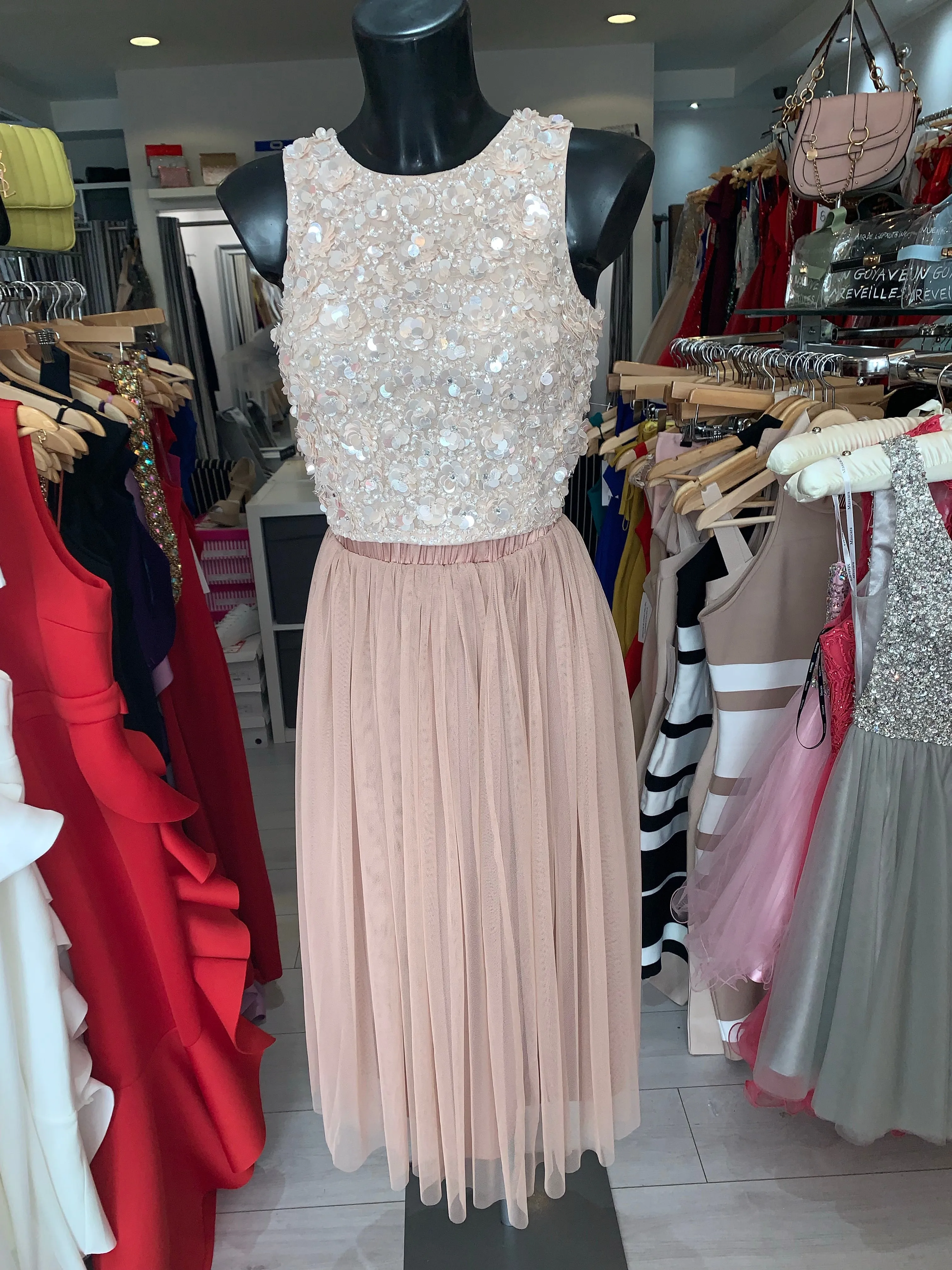Lori blush nude sequin top